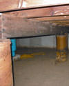 Mold and rot thriving in a dirt floor crawl space in Everett