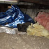 A crawl space filled with loose insulation, debris, and a large tarp in Bow.