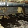 Fiberglass insulation dripping off a floor joist in a soaked crawl space with a think black liner in Everett.