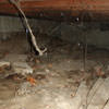 A crawl space with spiderwebs, mold, and uneven floors in San Juan Islands.