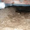 A muddy, disgusting crawl space with little or no head room in Darrington.