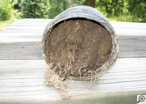 clogged french drain found in Woods Creek, Washington